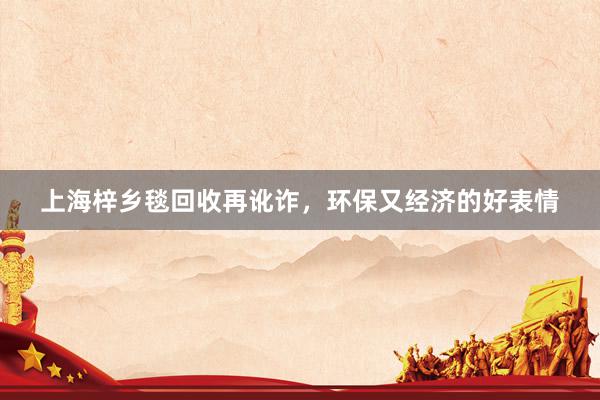 上海梓乡毯回收再讹诈，环保又经济的好表情
