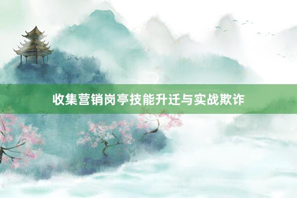 收集营销岗亭技能升迁与实战欺诈