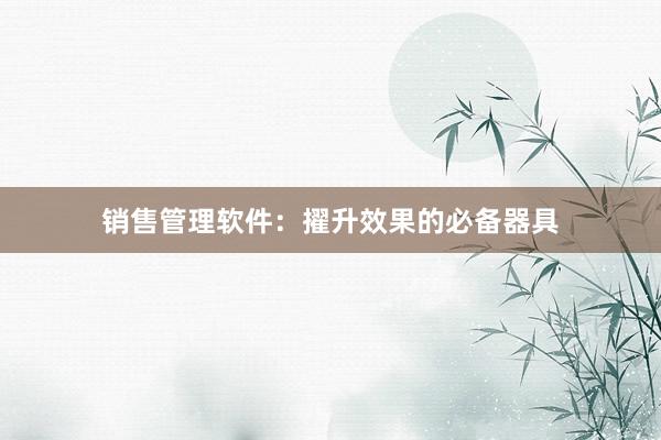 销售管理软件：擢升效果的必备器具