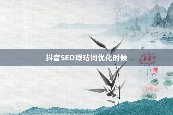 抖音SEO瑕玷词优化时候